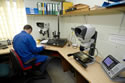 Inspection img 01